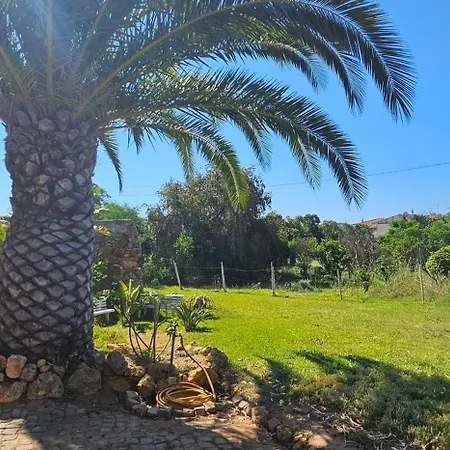 Quinta Do Lagar - Rural Retreat By The #3